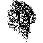 Rendering of an LSystem
