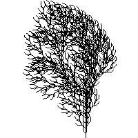 rendered LSystem